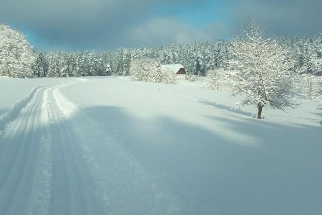Ferienwohnung Im Schwarzwald Unterkirnach 외부 사진
